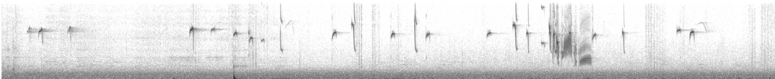 Black-capped Chickadee - ML645789801