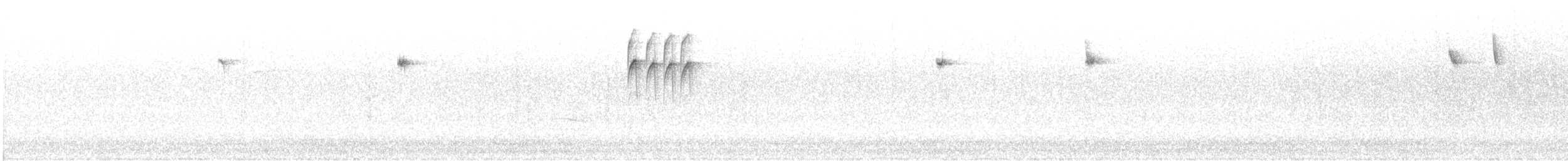 sýkora černohlavá - ML645789849