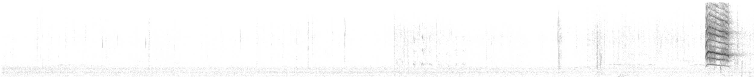 sojka chocholatá - ML645789854