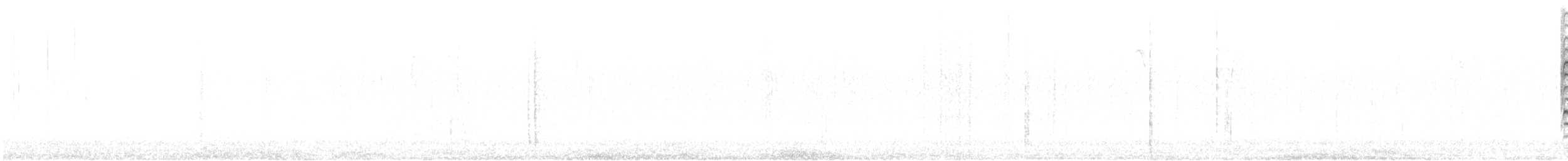 sojka chocholatá - ML645789855