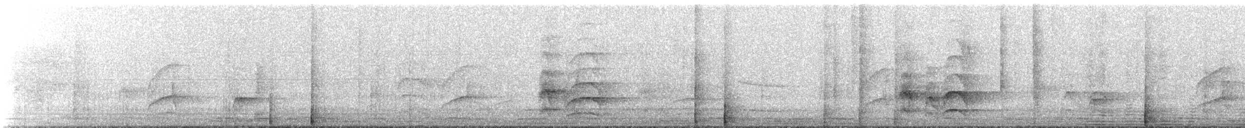 Lineated Woodpecker - ML645790021