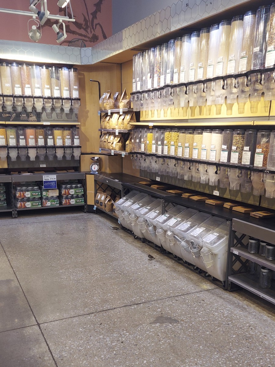 House Sparrow - ML645791272