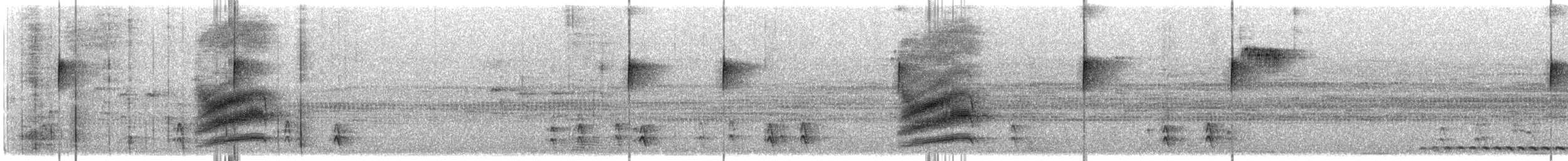 Пятнистый тохи - ML645791724