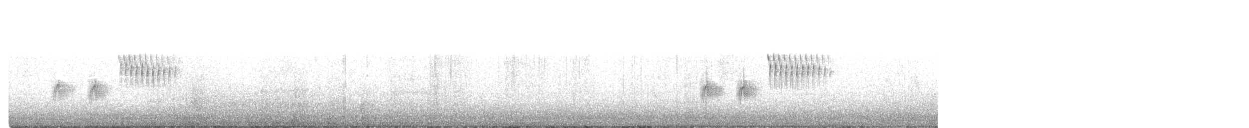 Пятнистый тохи [группа maculatus] - ML645792606