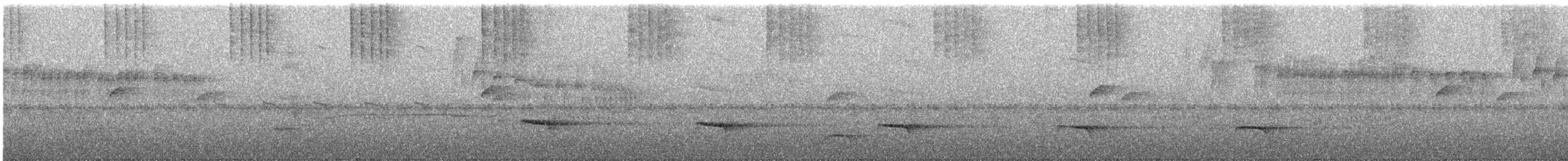 White-throated Woodcreeper - ML645792644