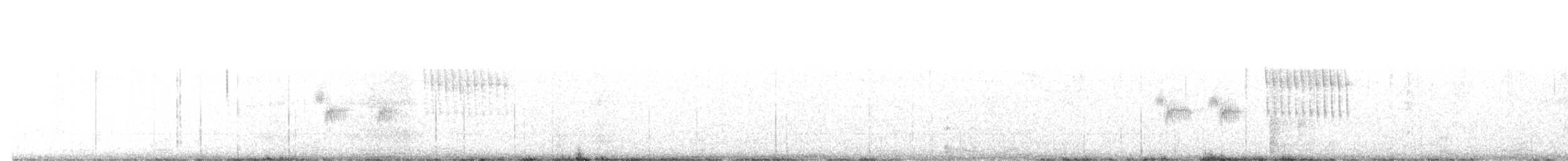 Пятнистый тохи [группа maculatus] - ML645792660