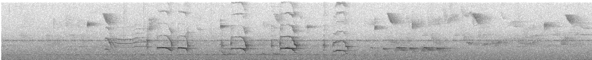 White-throated Woodcreeper - ML645793110