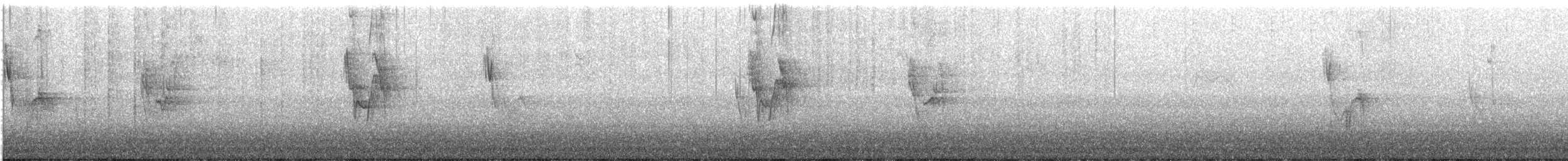 Bachstelze (Trauerbachstelze) - ML645793831