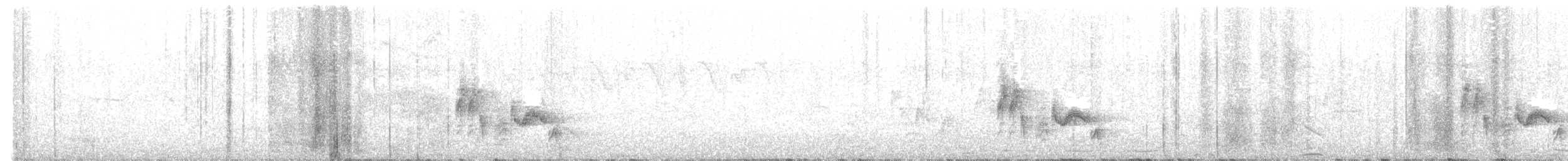 White-eyed Vireo - ML645794303