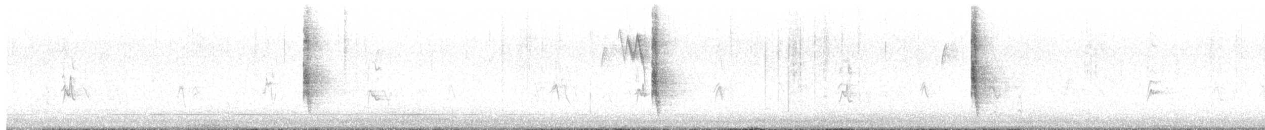 Northern Mockingbird - ML645794438