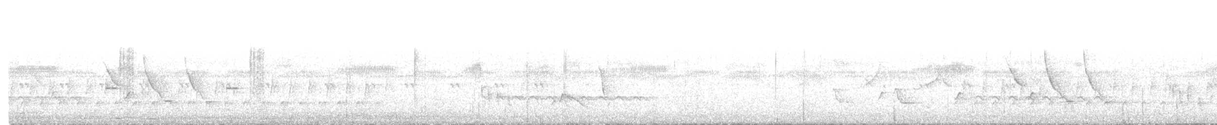 White-eyed Vireo - ML645794635