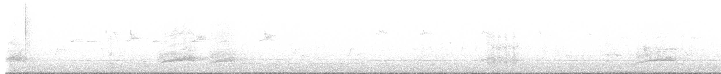 Iberian Magpie - ML645795004