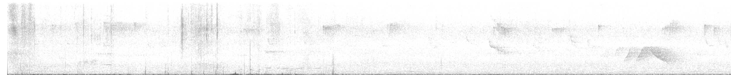 White-eared Sibia - ML645795538