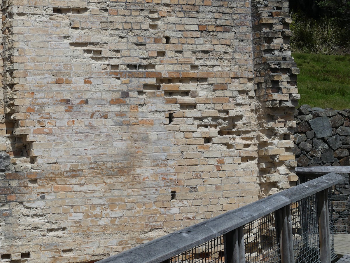 lejsčík ohnivý - ML645795783