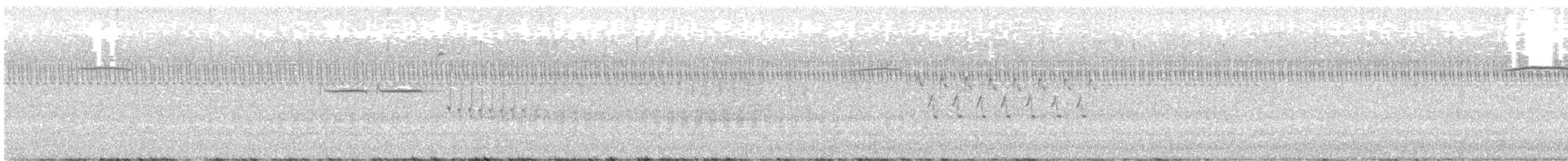 Bachman's Sparrow - ML645795819