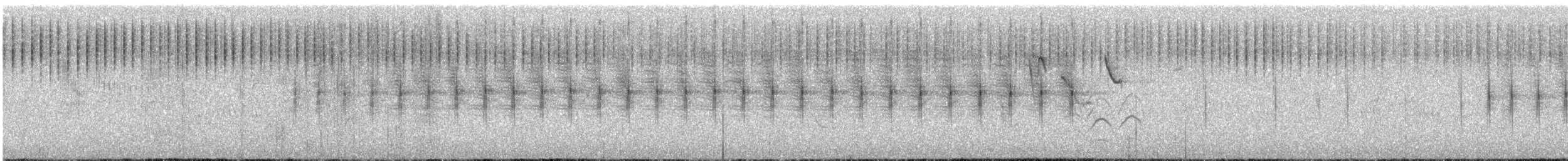 Черногрудая приния - ML645796091