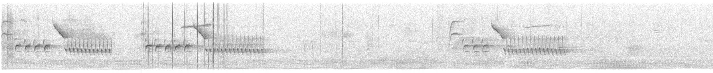 Troglodyte de Bewick - ML645797161