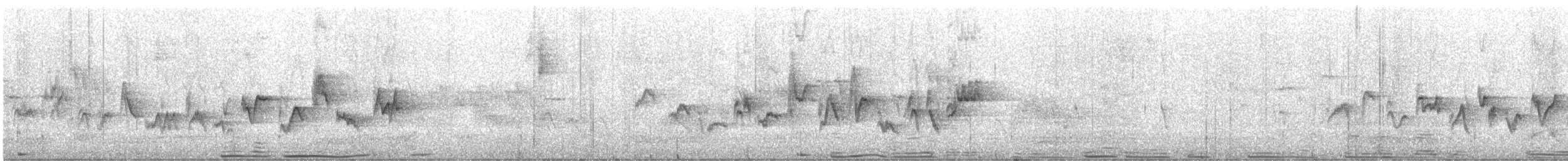 Viréo de Swainson - ML645797629