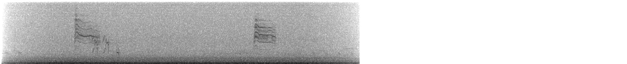 Perlita Grisilla (Occidental) - ML645798389