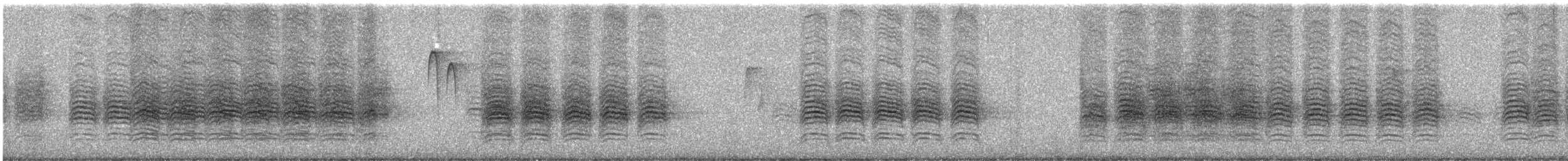 Black-capped Chickadee - ML645798521