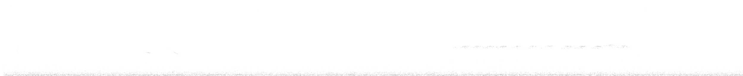 American Kestrel - ML645799149