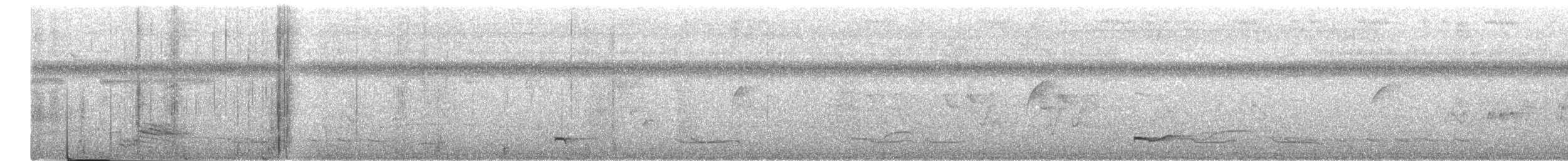 Lance-tailed Manakin - ML645799157