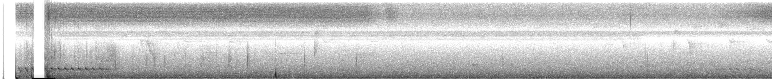 Lance-tailed Manakin - ML645799158