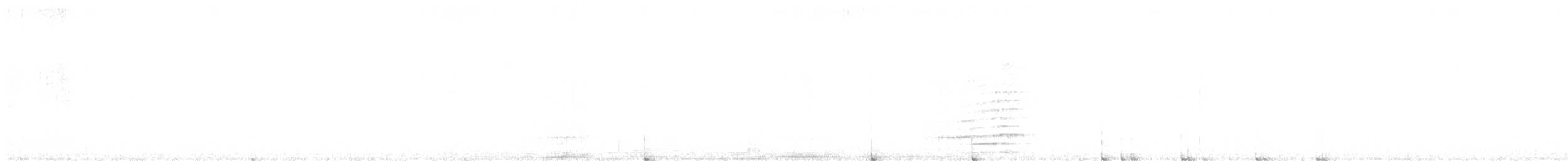 Black-billed Mountain-Toucan - ML645799178