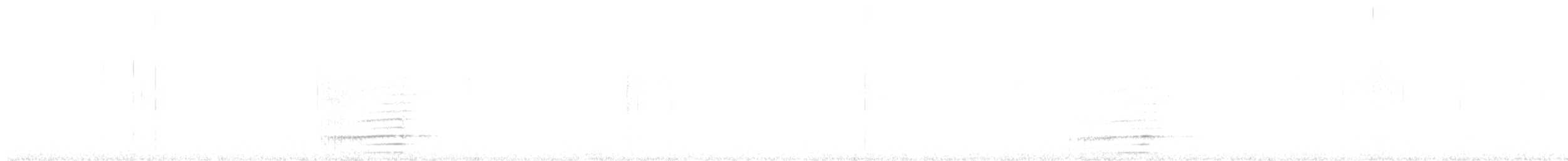 Black-billed Mountain-Toucan - ML645799179