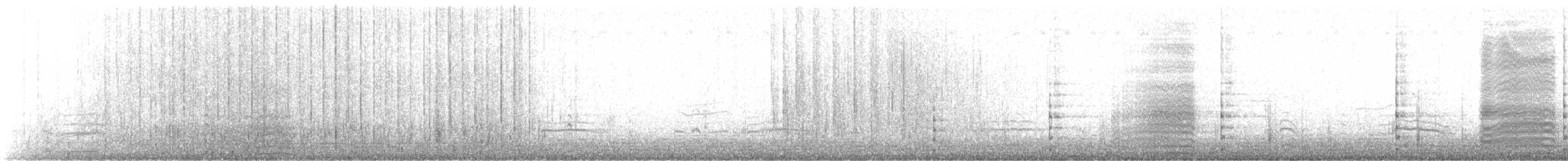 American Coot - ML645799508