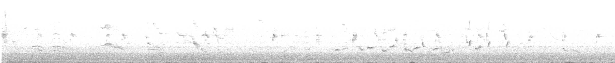 Northern Mockingbird - ML645800439