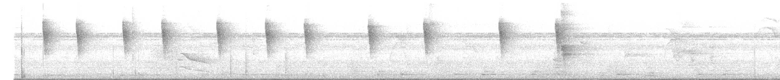 American Redstart - ML645801152