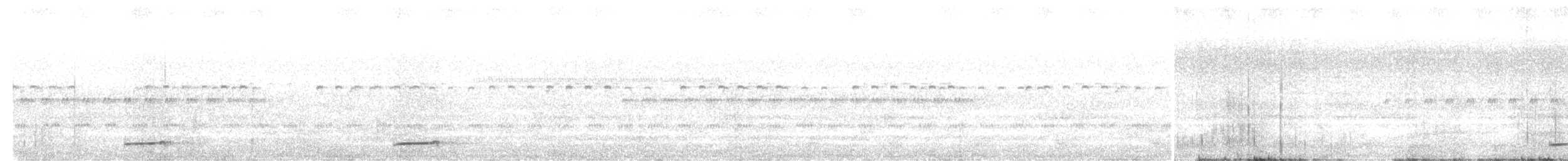 Bändernachtschwalbe - ML645801370