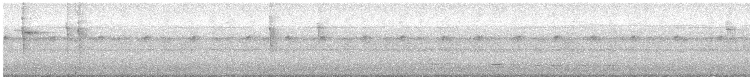 Black-faced Antthrush - ML645801972