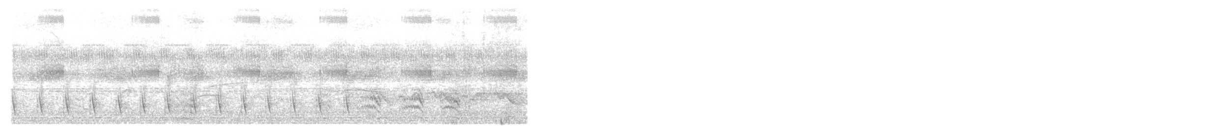 Serra Antwren (Serra) - ML645802086