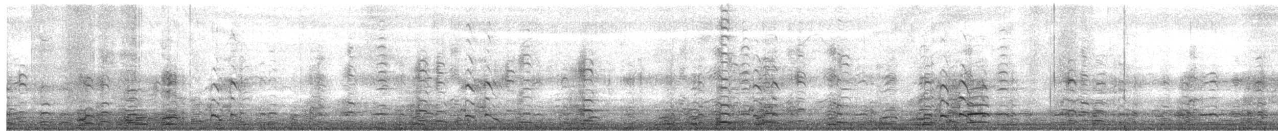 Greater White-fronted Goose - ML645802370