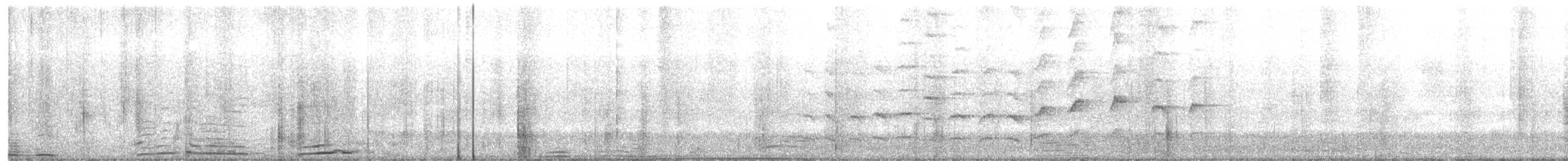 Spangled Drongo - ML645802452