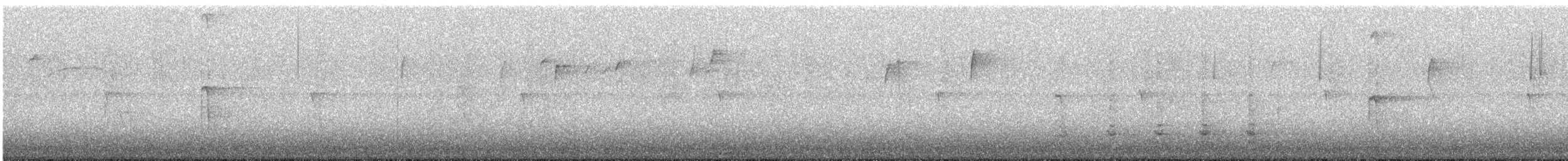 Wild Turkey - ML645803230