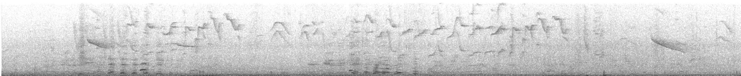 Blue-gray Tanager - ML645804007