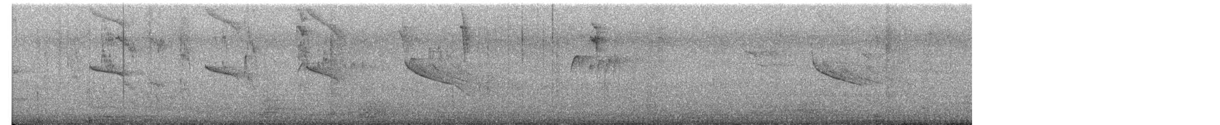 Amazilia Hummingbird - ML645804179