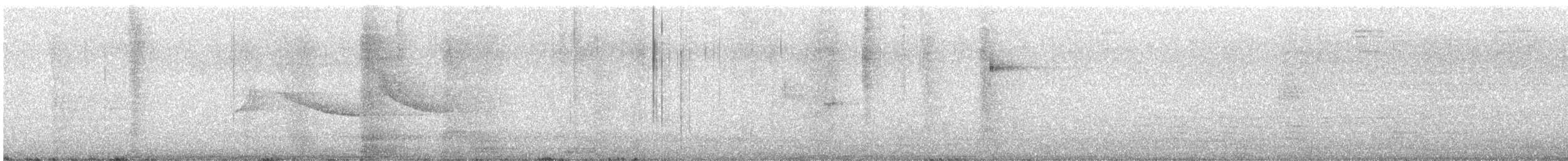 Bruant chingolo - ML645804267