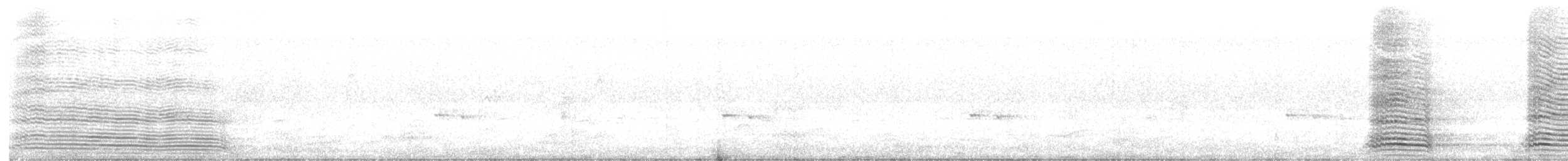 Australian Raven - ML645804676