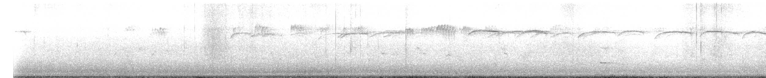 ציצנית אמריקנית - ML645804953