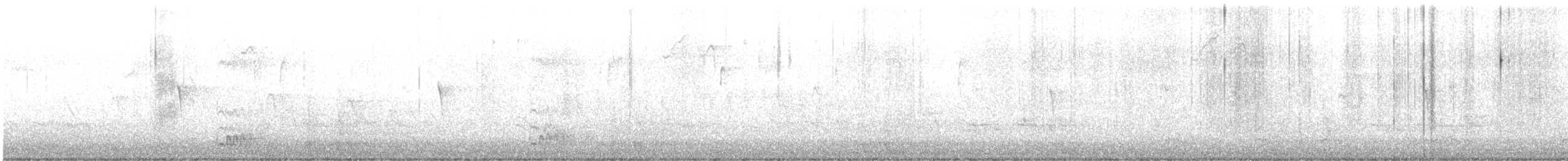 Red-bellied Woodpecker - ML645804971