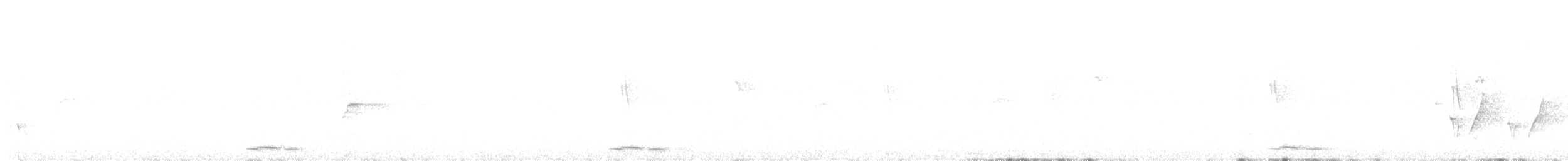 Peaceful Dove - ML645804984