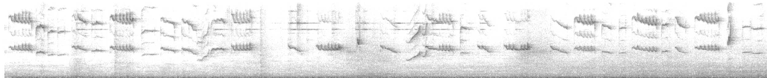 Silvereye - ML645805069