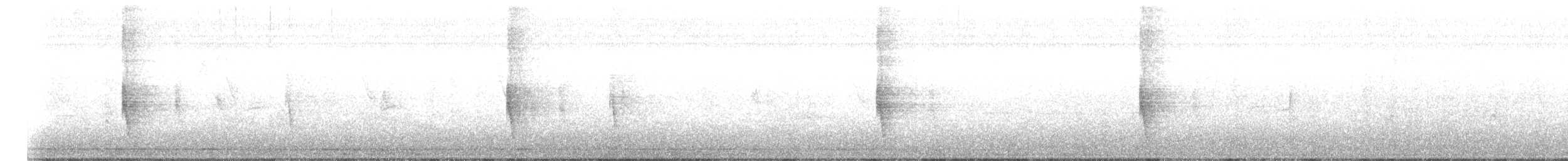 Northern Mockingbird - ML645805273