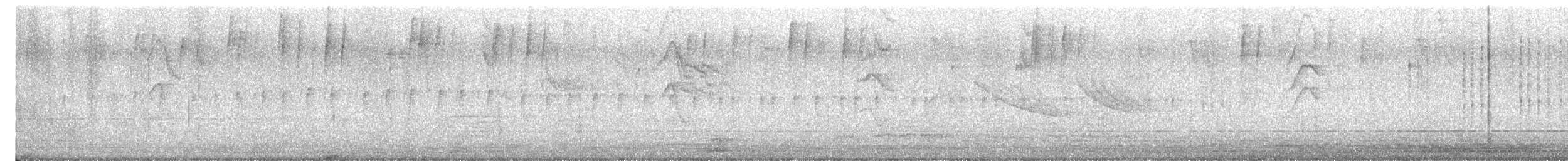 Amazilia Hummingbird - ML645805447