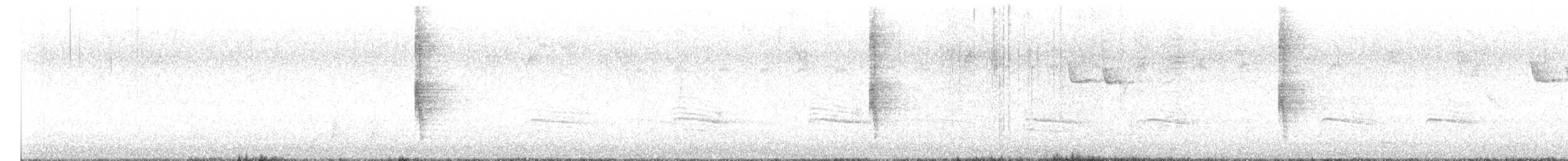 Northern Mockingbird - ML645805628