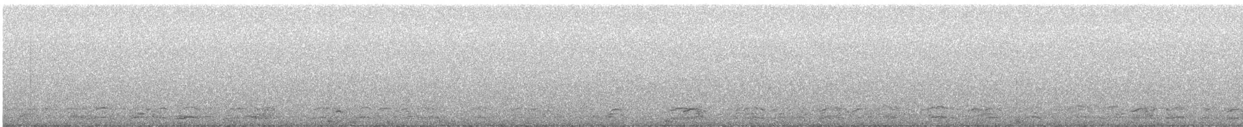 Snow Goose - ML645805779